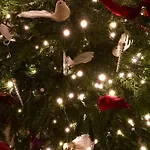 Fabulous In Historic House In *