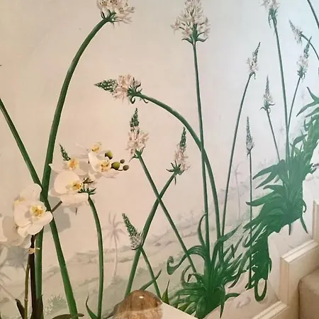 Fabulous In Historic House In * St Aubin