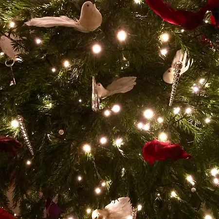 Fabulous In Historic House In *