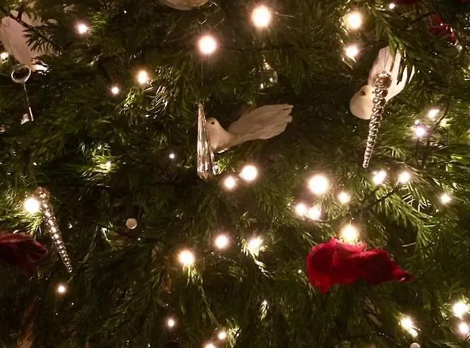 Fabulous In Historic House In *